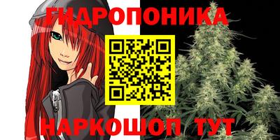 СК Коломна